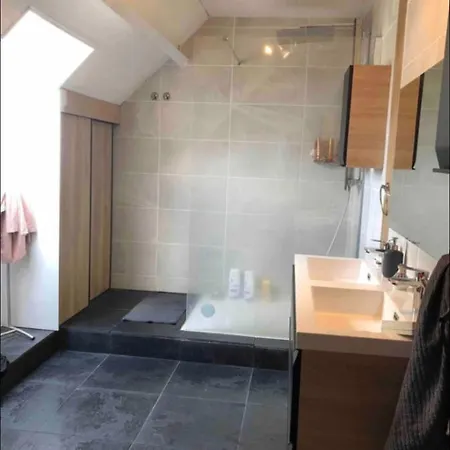 Maison Au Coeur De Luz Sauveur * לוז-סן-סובר